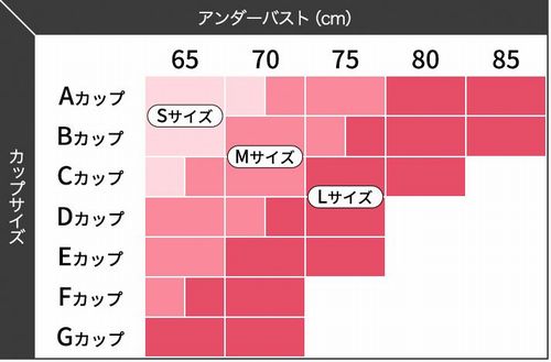 アップミースタイリングブラのカップサイズの画像